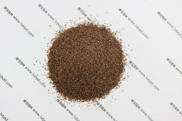 <a href='http://m.zishuwang.com.cn/caohuazhongzi/1606.html' target='_blank'>婆婆納</a><a href='http://m.zishuwang.com.cn/' target='_blank'>種子</a>