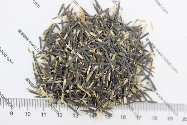 <a href='http://m.zishuwang.com.cn/caohuazhongzi/1604.html' target='_blank'>南非萬壽菊種子</a>