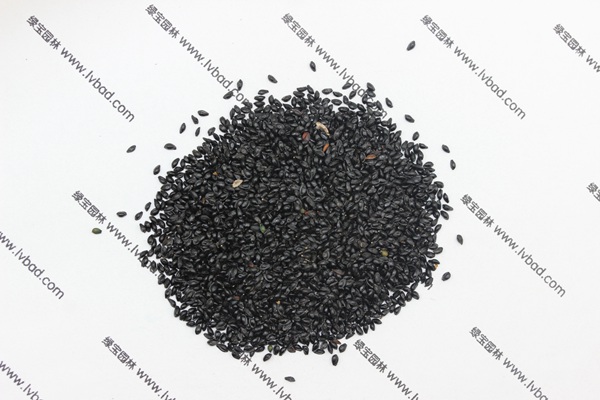 <a href='http://m.zishuwang.com.cn/caohuazhongzi/1586.html' target='_blank'>耬斗菜種子</a>
