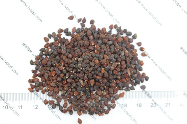 藍(lán)花<a href='http://m.zishuwang.com.cn/caohuazhongzi/1578.html' target='_blank'>鳶尾種子</a>