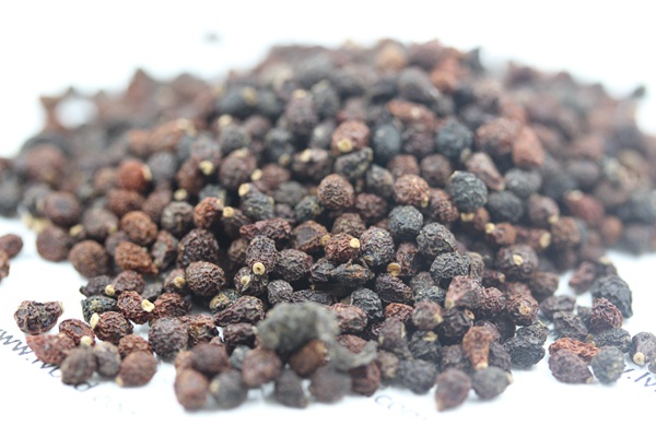 藍(lán)花<a href='http://m.zishuwang.com.cn/caohuazhongzi/1578.html' target='_blank'>鳶尾</a><a href='http://m.zishuwang.com.cn/' target='_blank'>種子</a>