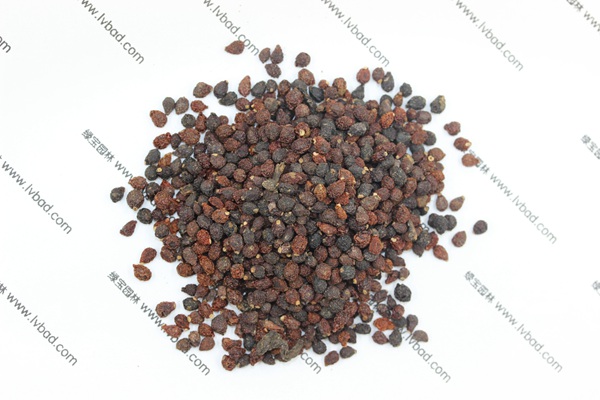 藍(lán)花<a href='http://m.zishuwang.com.cn/caohuazhongzi/1578.html' target='_blank'>鳶尾</a><a href='http://m.zishuwang.com.cn/' target='_blank'>種子</a>
