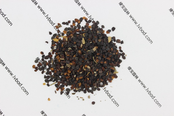 <a href='http://m.zishuwang.com.cn/caohuazhongzi/1574.html' target='_blank'>康乃馨</a><a href='http://m.zishuwang.com.cn/' target='_blank'>種子</a>