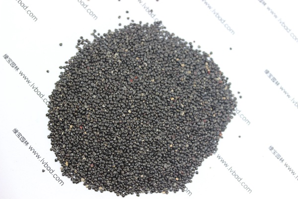 <a href='http://m.zishuwang.com.cn/caohuazhongzi/1076.html' target='_blank'>雞冠花</a><a href='http://m.zishuwang.com.cn/' target='_blank'>種子</a>