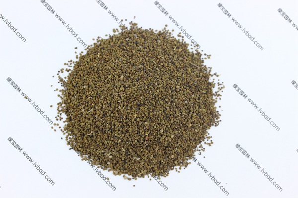 <a href='http://m.zishuwang.com.cn/caohuazhongzi/1022.html' target='_blank'>半枝蓮</a><a href='http://m.zishuwang.com.cn/' target='_blank'>種子</a>