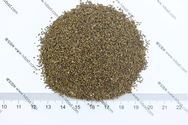 半枝蓮<a href='http://m.zishuwang.com.cn/' target='_blank'>種子</a>
