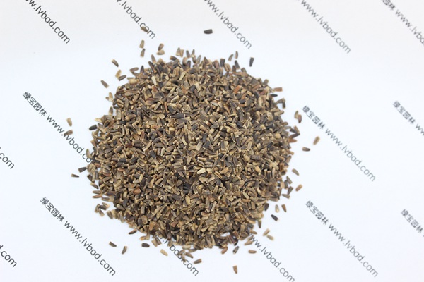 <a href='http://m.zishuwang.com.cn/mucaozhongzi/14254.html' target='_blank'>菊苣</a><a href='http://m.zishuwang.com.cn/' target='_blank'>種子</a>