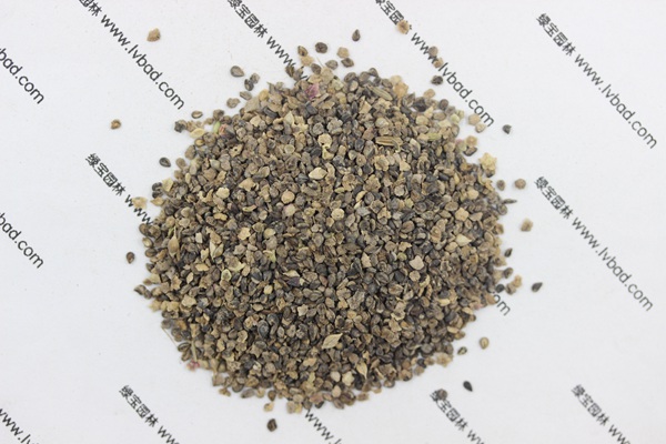 <a href='http://m.zishuwang.com.cn/caohuazhongzi/1041.html' target='_blank'>地膚</a><a href='http://m.zishuwang.com.cn/' target='_blank'>種子</a>