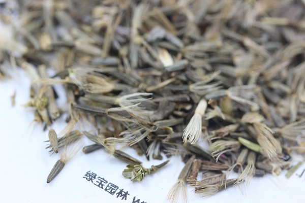 <a href='http://m.zishuwang.com.cn/caohuazhongzi/1620.html' target='_blank'>蛇鞭菊種子</a>