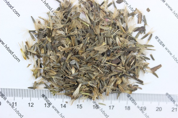<a href='http://m.zishuwang.com.cn/caohuazhongzi/1620.html' target='_blank'>蛇鞭菊種子</a>