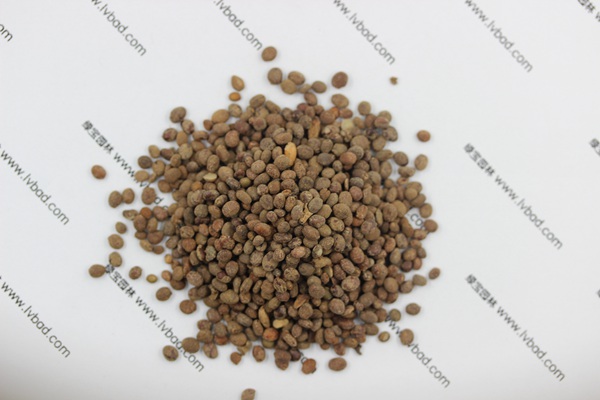 <a href='http://m.zishuwang.com.cn/caohuazhongzi/1655.html' target='_blank'>指甲花種子</a>