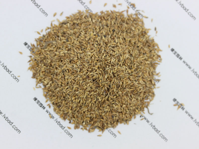 <a href='http://m.zishuwang.com.cn/caopingzhongzi/1671.html' target='_blank'>結(jié)縷草種子</a>