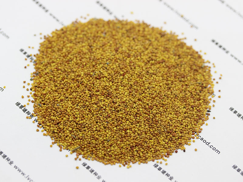 <a href='http://m.zishuwang.com.cn/caopingzhongzi/1662.html' target='_blank'>白三葉種子</a>