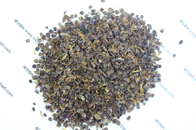 <a href='http://m.zishuwang.com.cn/caohuazhongzi/1568.html' target='_blank'>金雞菊種子</a>
