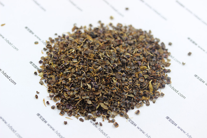 金雞菊<a href='http://m.zishuwang.com.cn/' target='_blank'>種子</a>