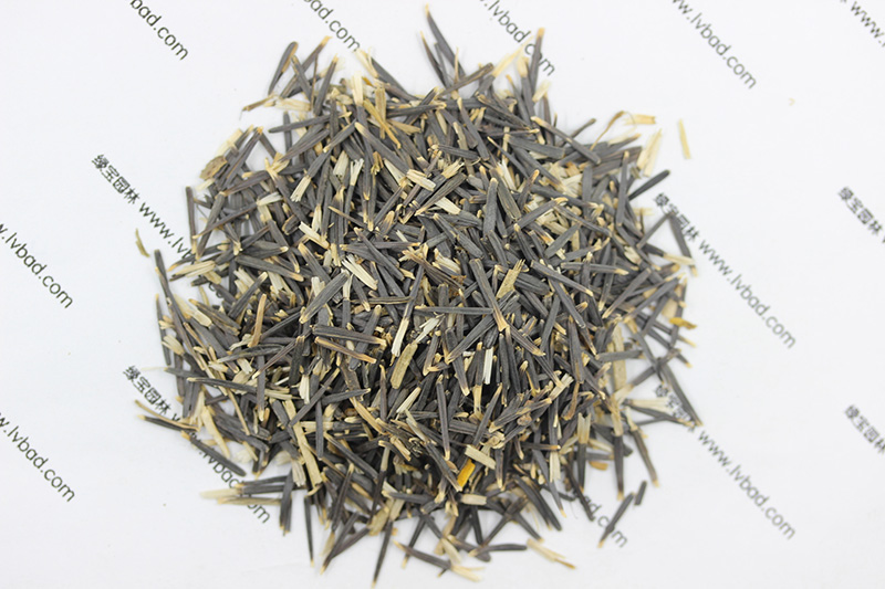 <a href='http://m.zishuwang.com.cn/caohuazhongzi/1631.html' target='_blank'>萬壽菊種子</a>