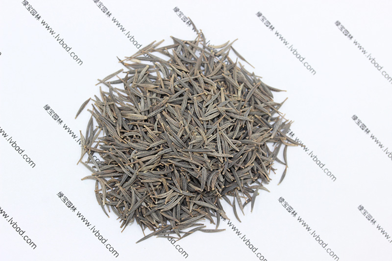 <a href='http://m.zishuwang.com.cn/caohuazhongzi/1054.html' target='_blank'>格?；ǚN子</a>