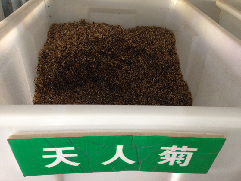 <a href='http://m.zishuwang.com.cn/caohuazhongzi/16044.html' target='_blank'>天人菊</a><a href='http://m.zishuwang.com.cn/' target='_blank'>種子</a>