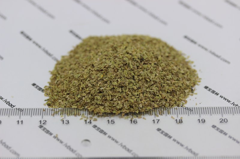 雛菊<a href='http://m.zishuwang.com.cn/' target='_blank'>種子</a>