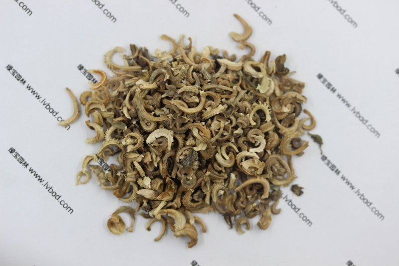 <a href='http://m.zishuwang.com.cn/caohuazhongzi/1571.html' target='_blank'>金盞菊</a><a href='http://m.zishuwang.com.cn/' target='_blank'>種子</a>圖片